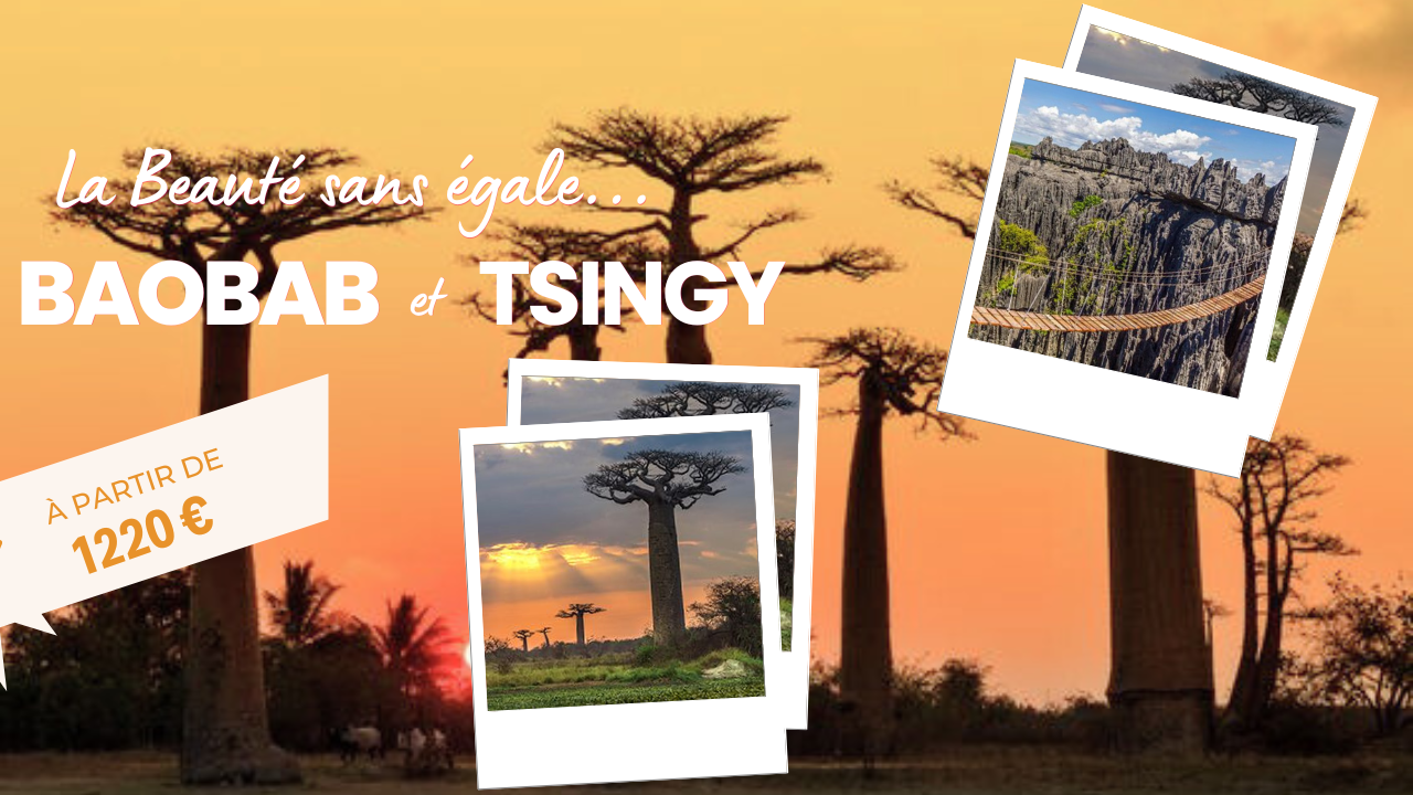 Baobab et Tsingy